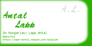 antal lapp business card